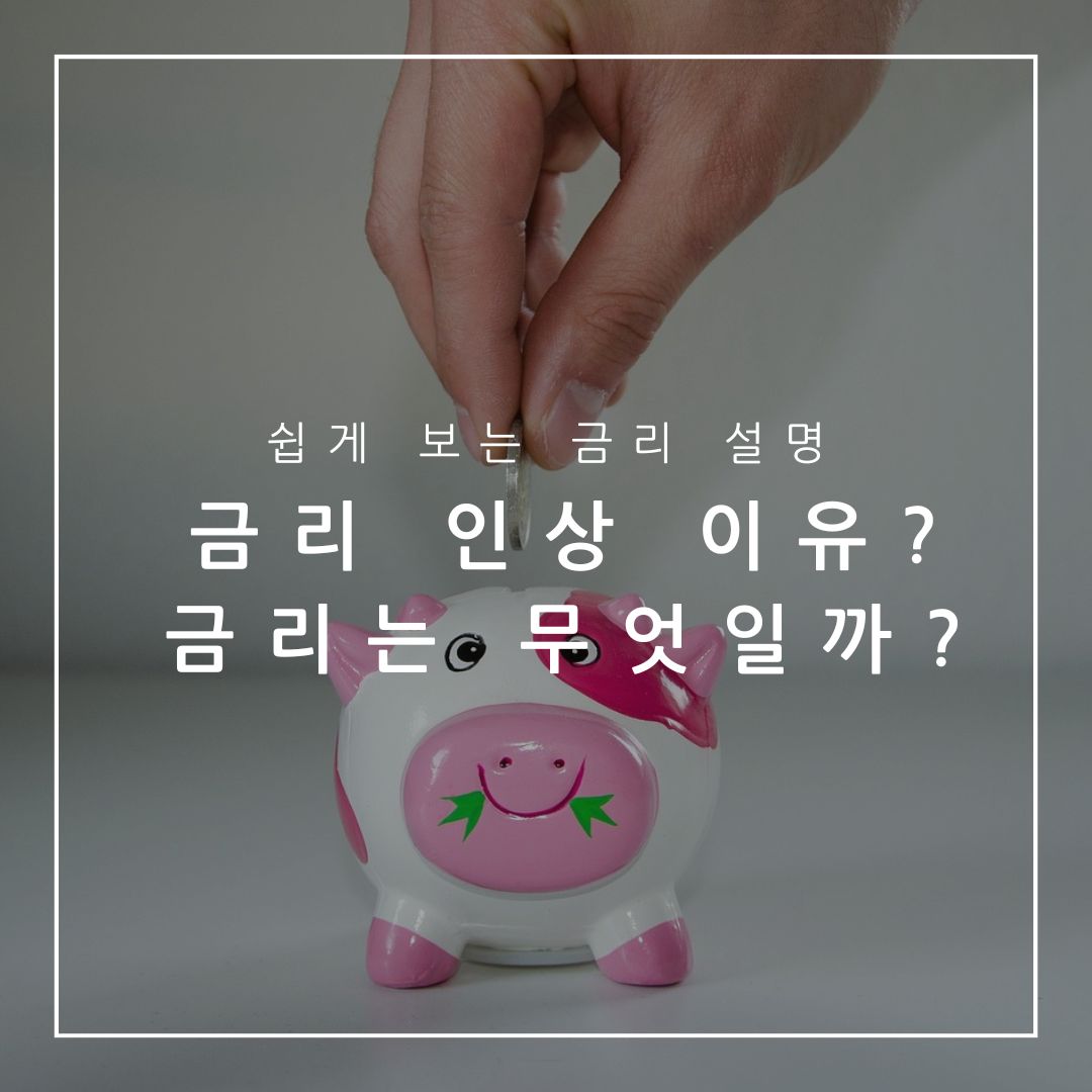 금리 인상 이유