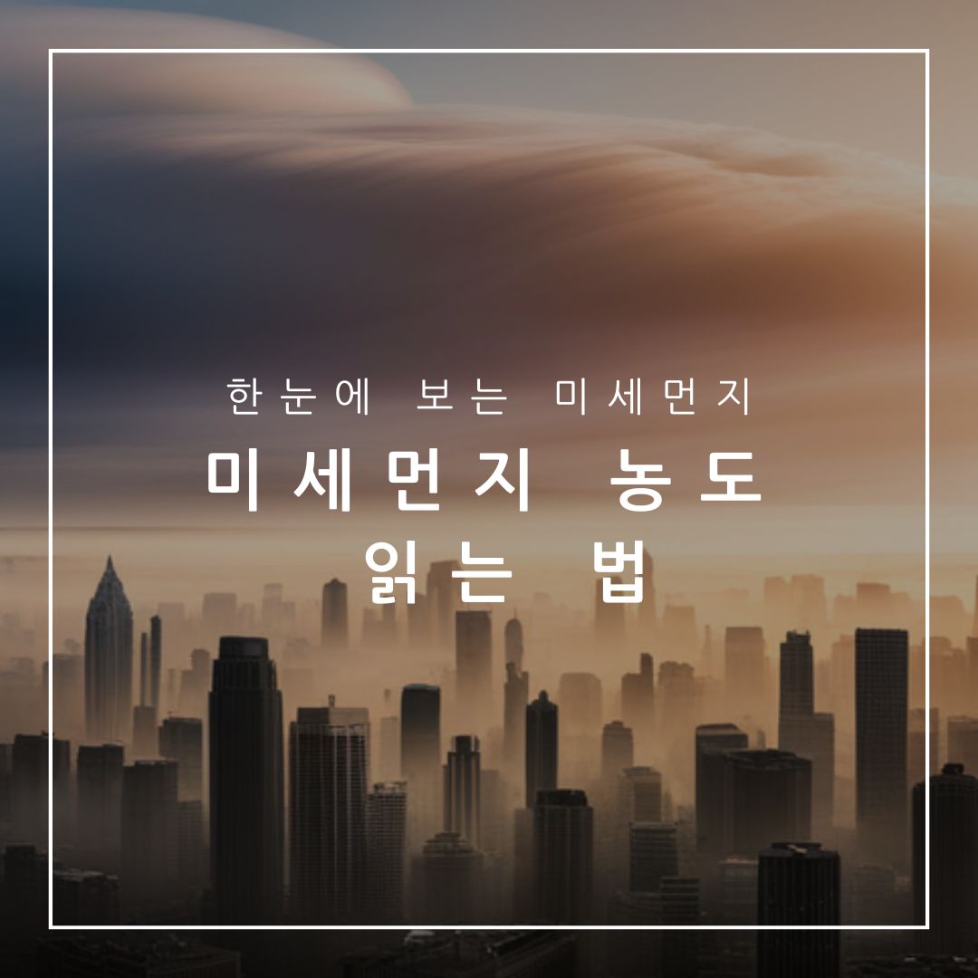 미세먼지 농도