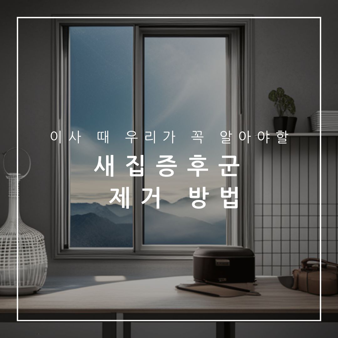 새집증후군 제거방법