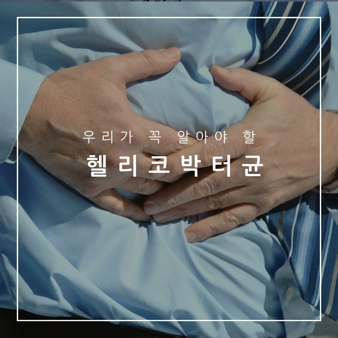 헬리코박터 균 자연치료