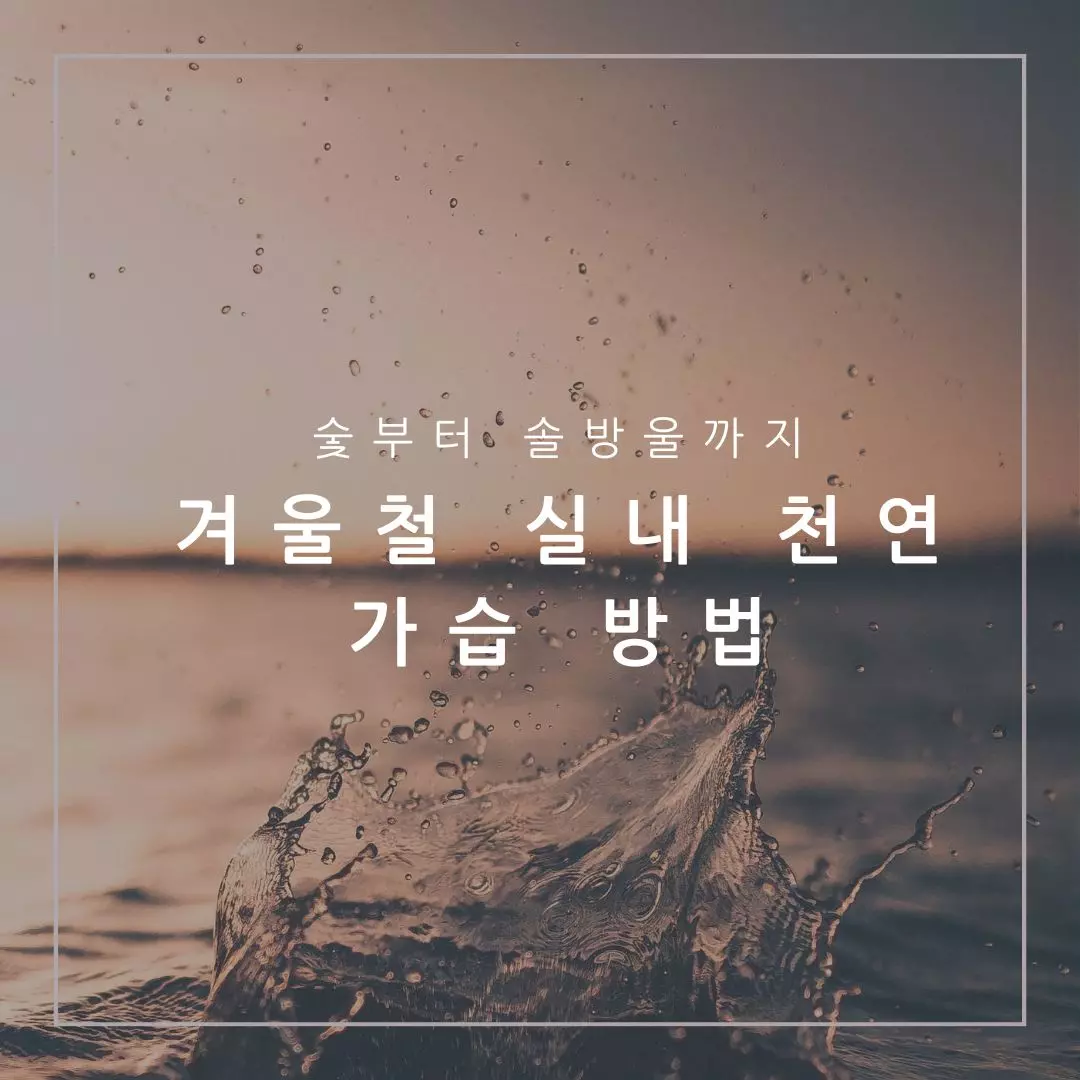 겨울철 실내 가습
