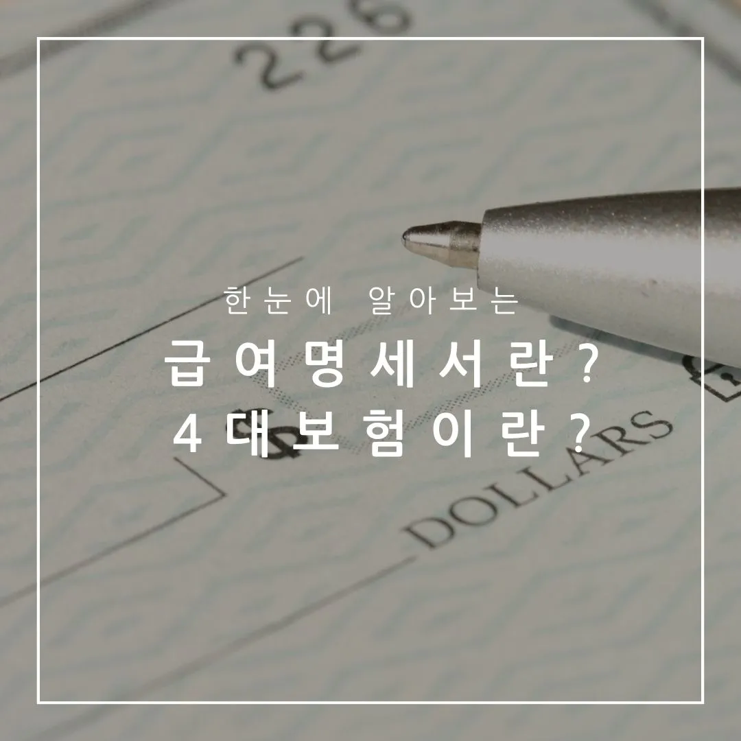 급여명세서란? 4대보험이란? 소득세까지 급여명세서 항목 쉽게 알아보기