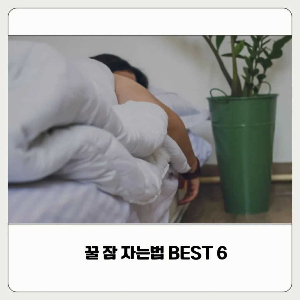 꿀잠 자는 법
