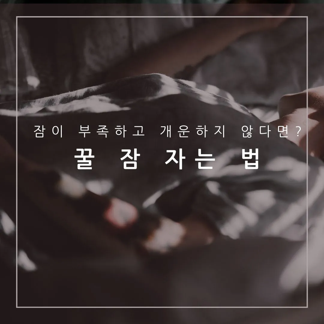 꿀 잠 자는 법