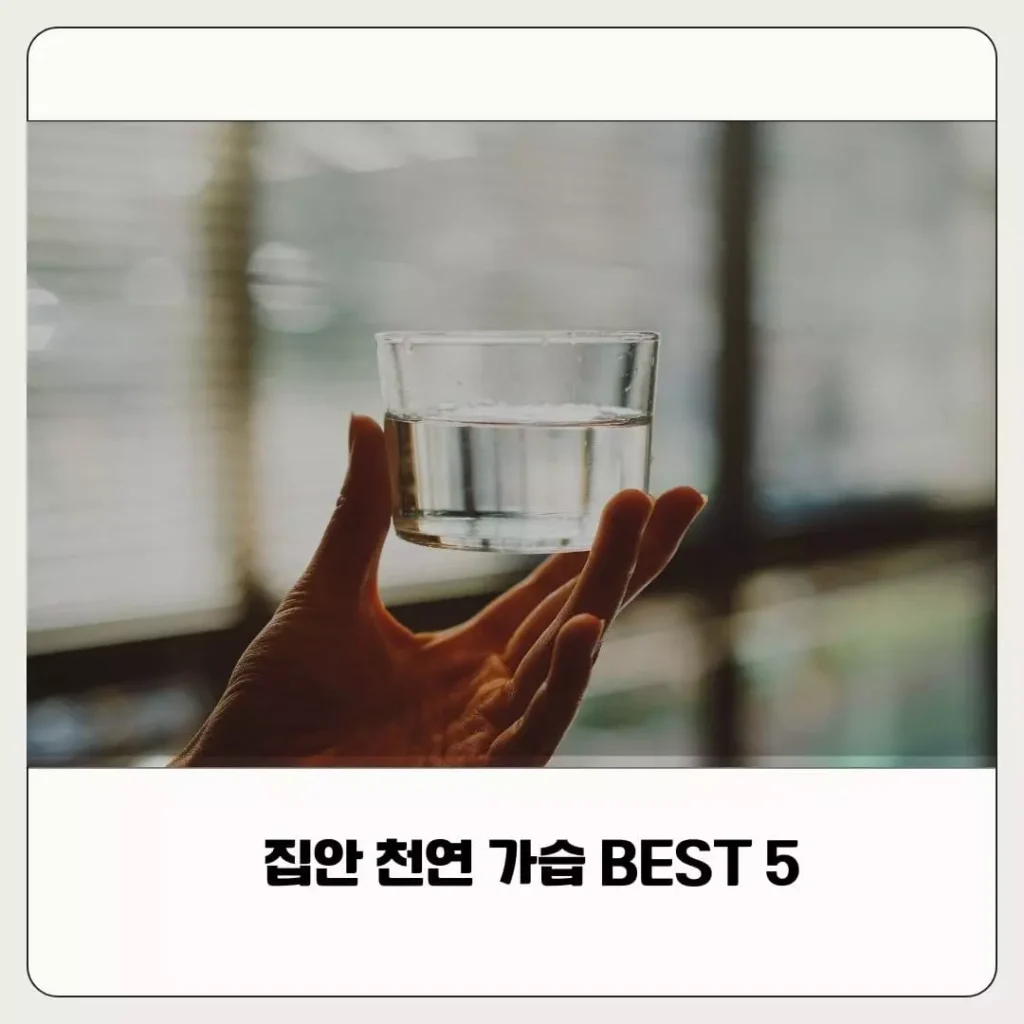 겨울철 실내 천연 가습 