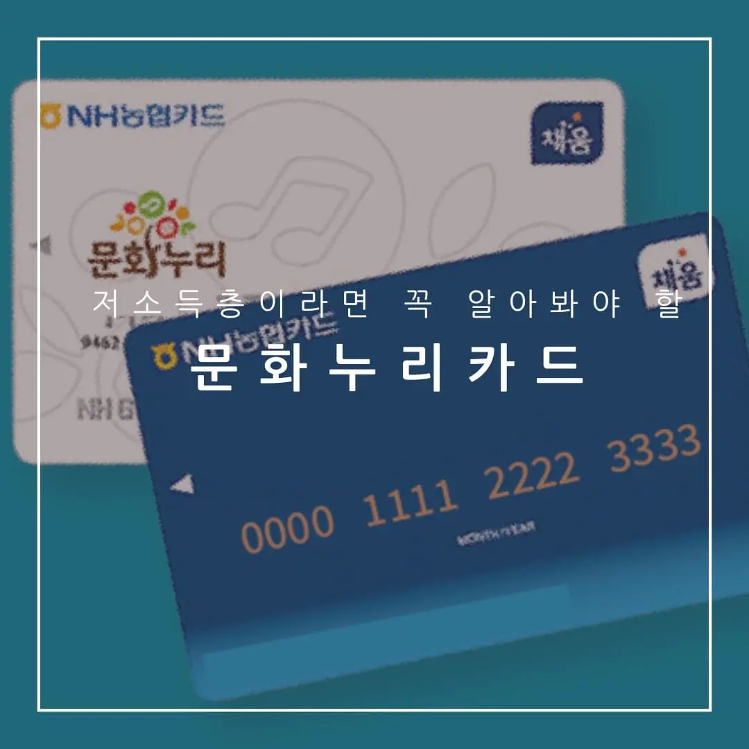 디즈니 플러스 문화누리카드