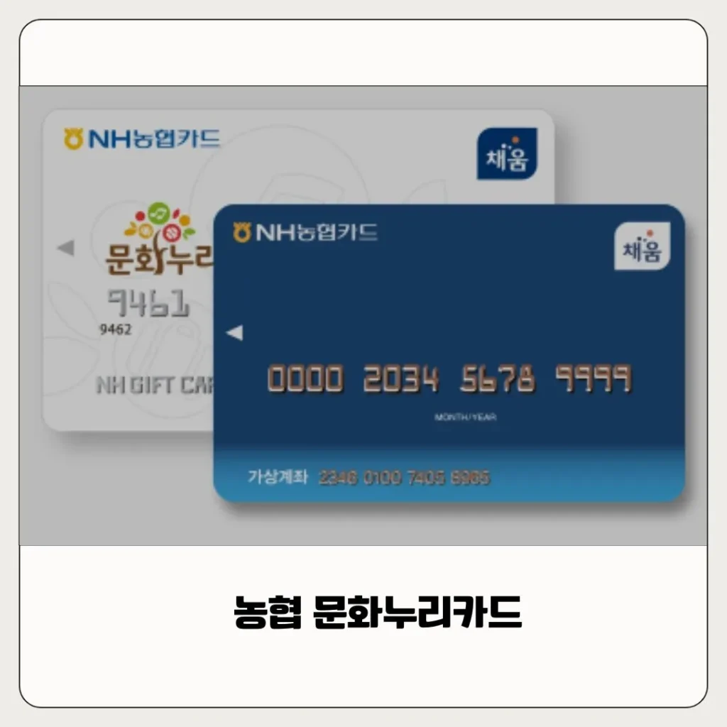 디즈니 플러스 문화누리카드