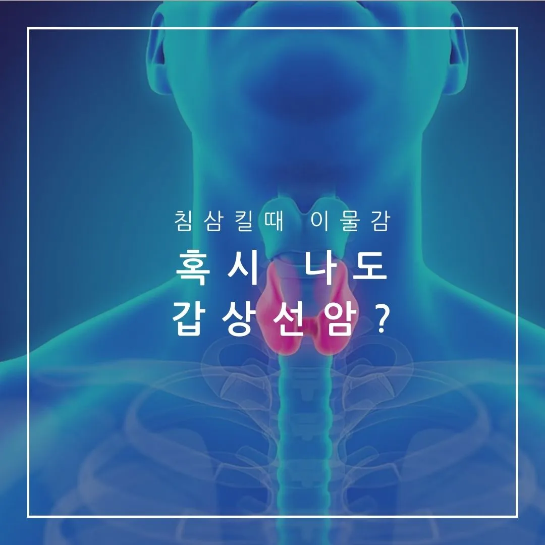 침-삼킬-때-이물감-갑상선