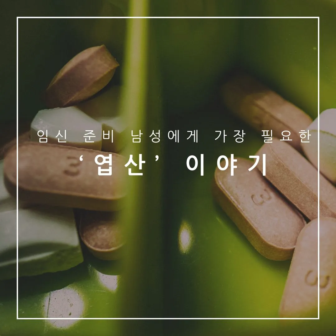 남성 엽산