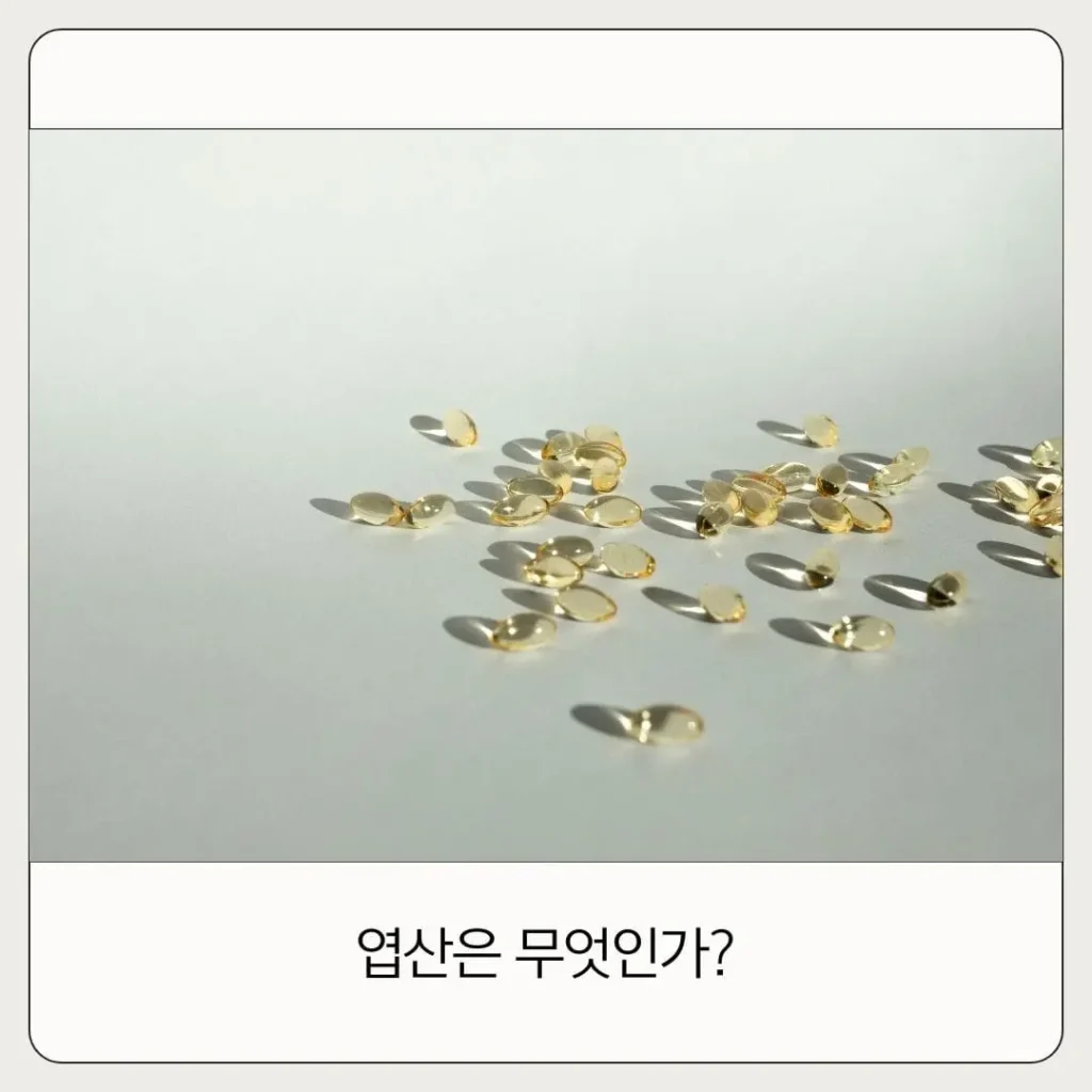 남성 엽산