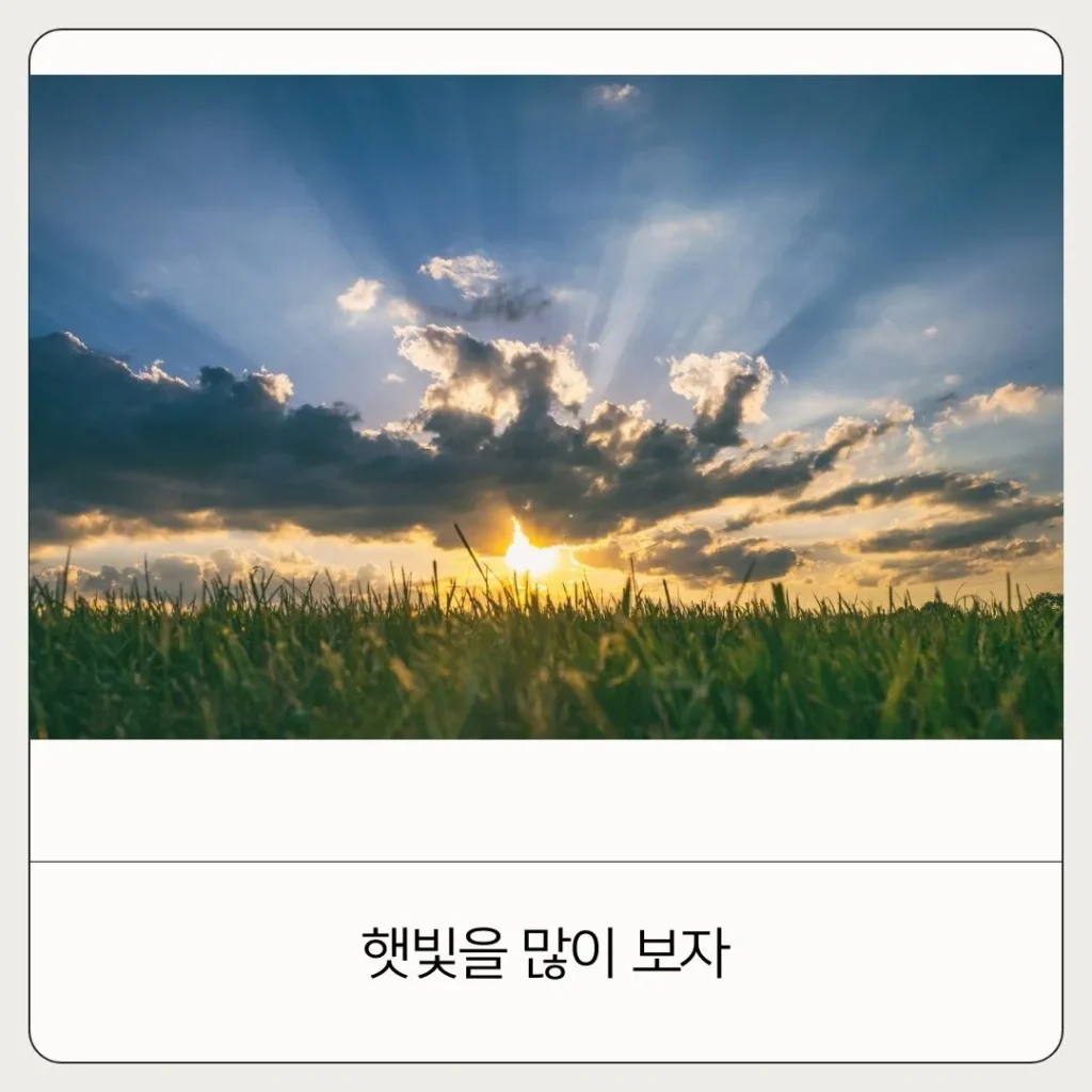누구나 쉽게 할 수 있는 면역력 좋은 생활습관 BEST 5