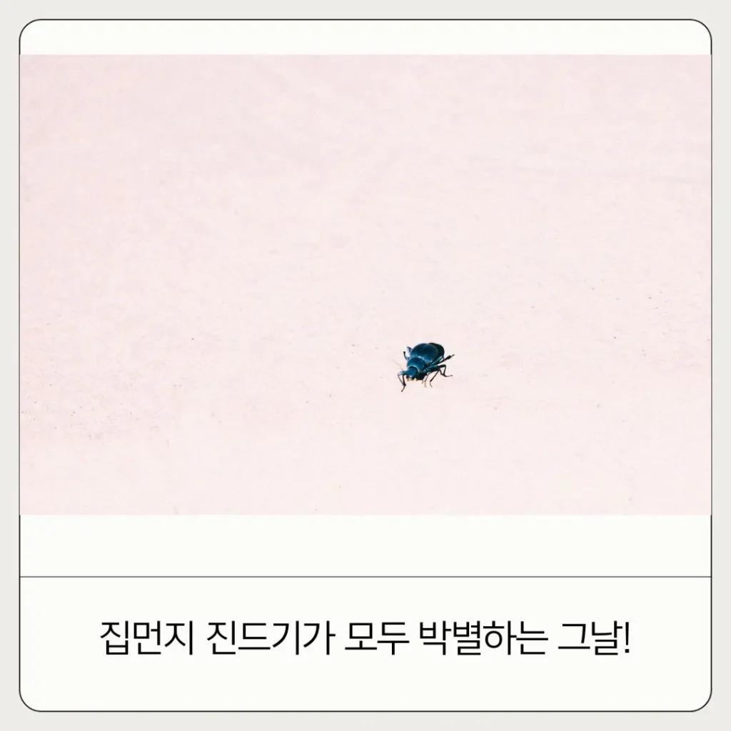 집먼지 진드기 퇴치법
