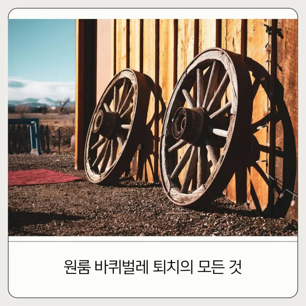 원룸 바퀴벌레 퇴치