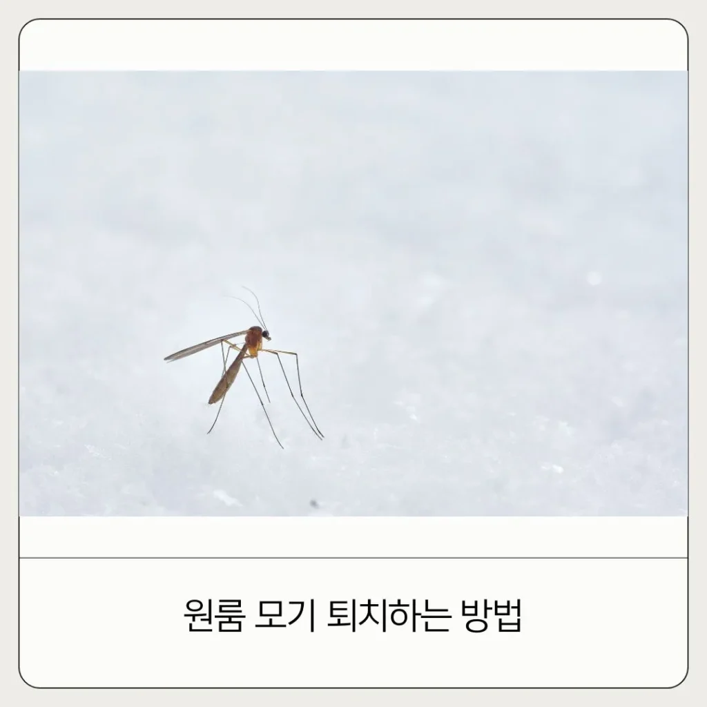 원룸 모기 퇴치