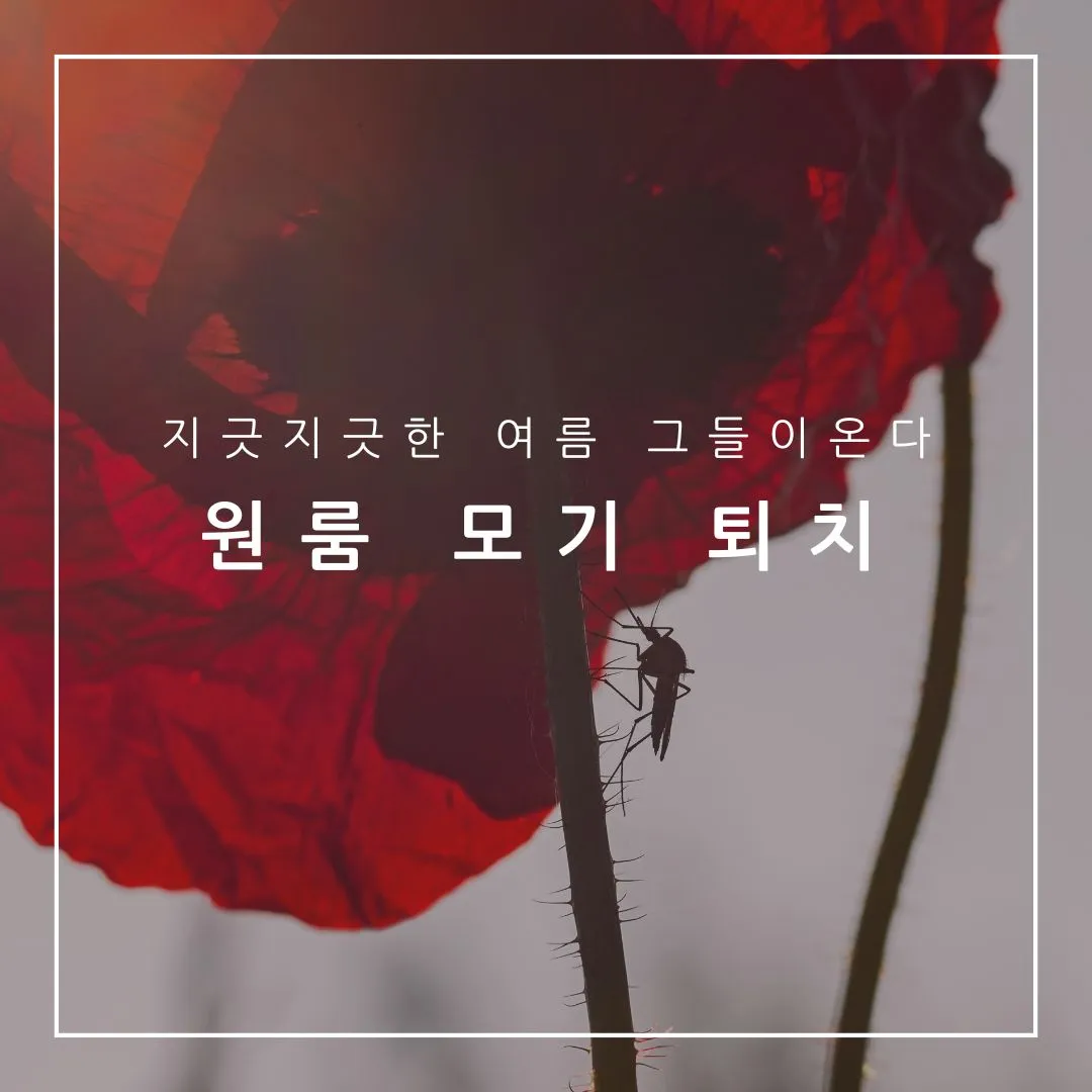 원룸 모기 퇴치