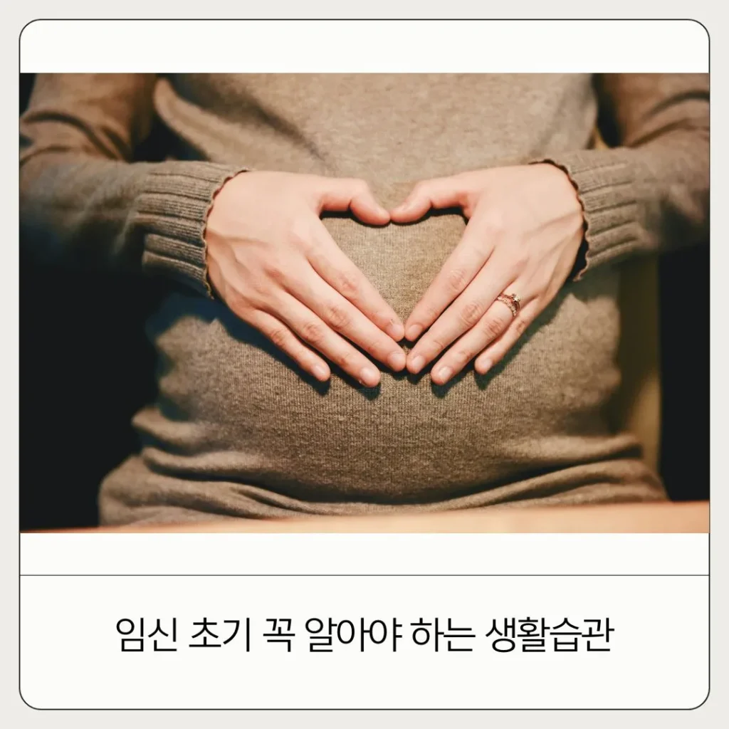 임신 초기 생활습관
