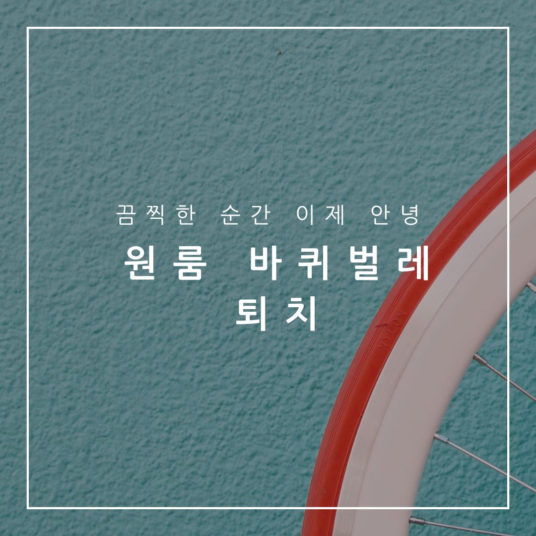 원룸 바퀴벌레 퇴치