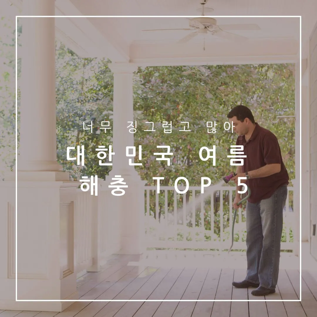 여름 해충