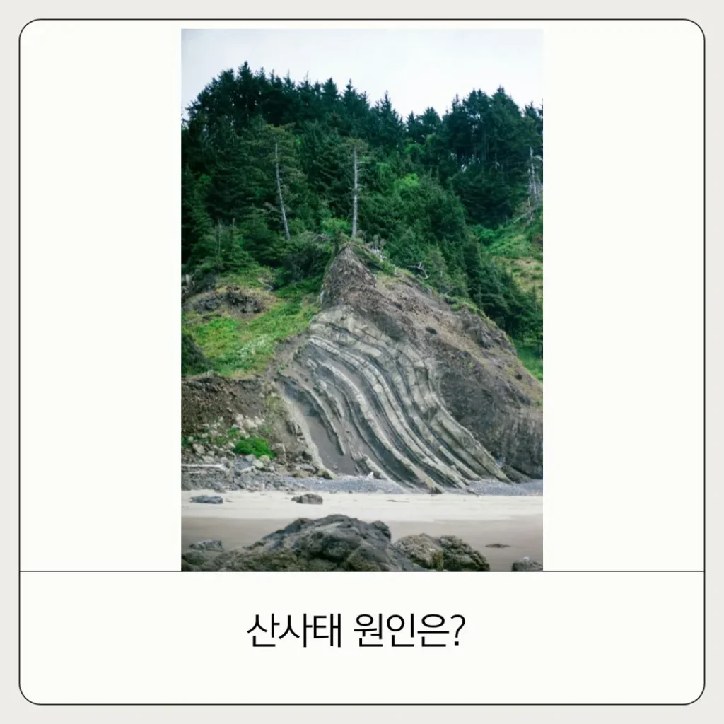 산사태 원인 예측
