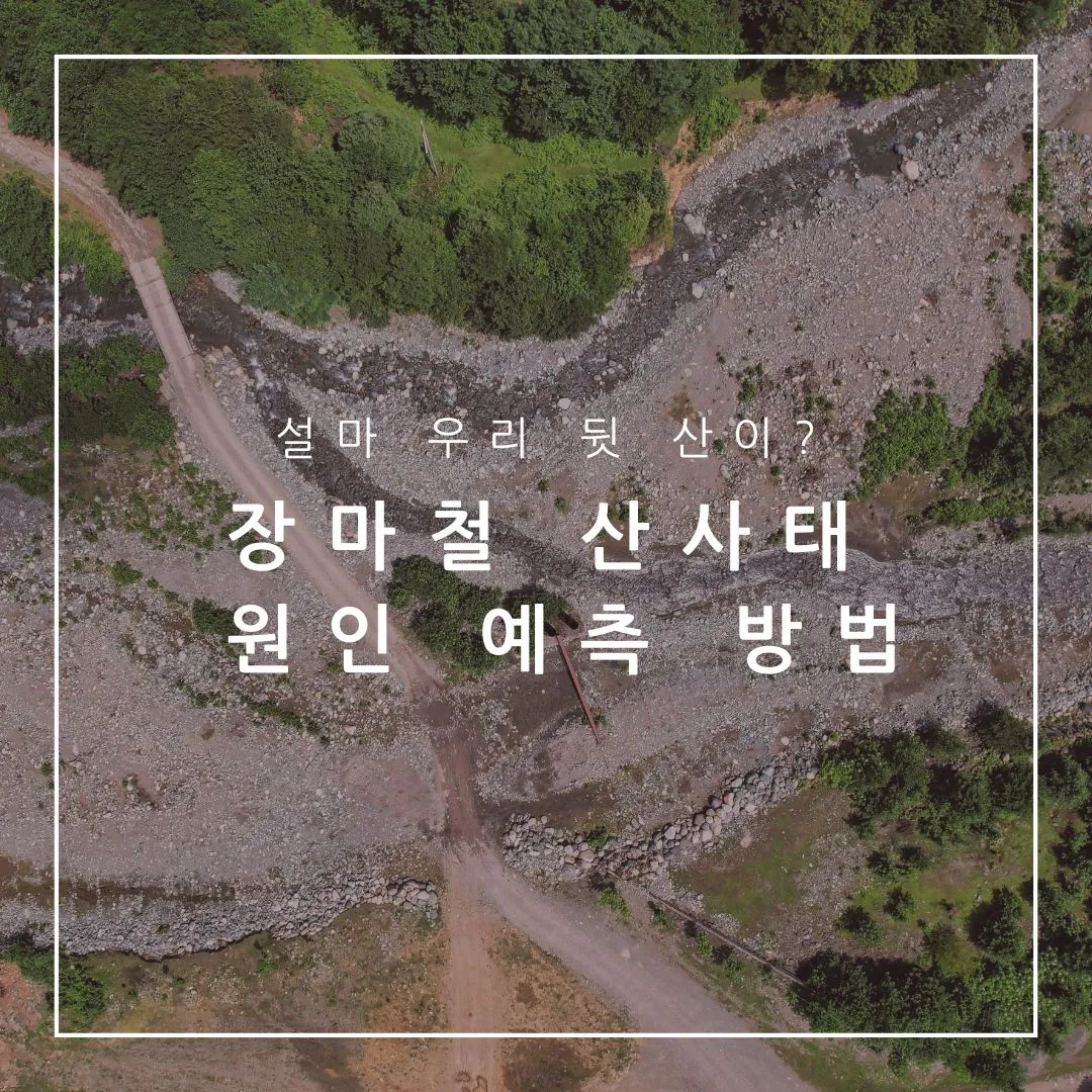 혹시 우리집 뒷 산? 장마철 산사태 원인 예측 방법부터 징후 확인까지! 산사태의 모든 것