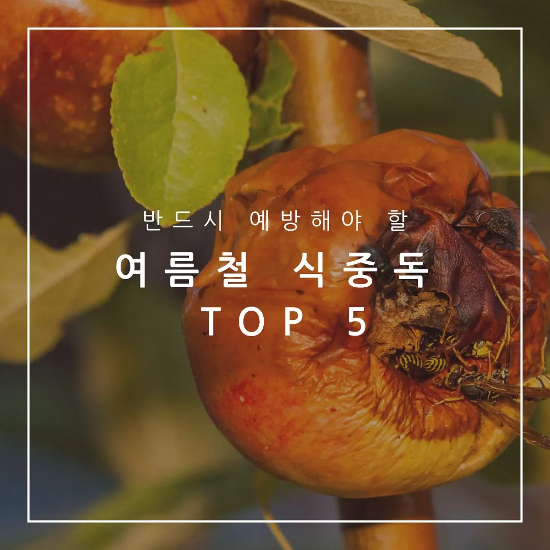 여름철 식중독 종류