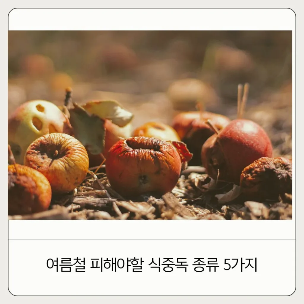 여름철 식중독 종류