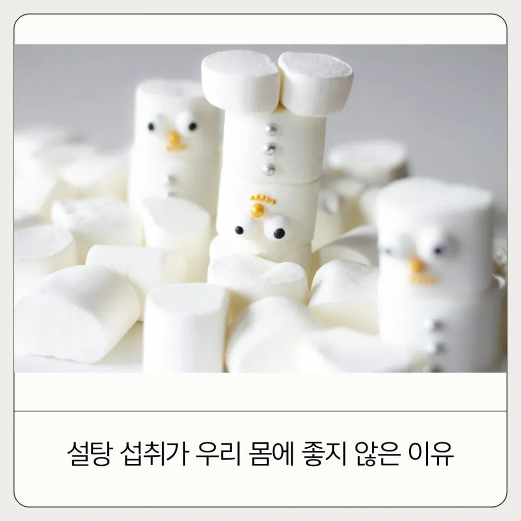 설탕이 몸에 안좋은 이유