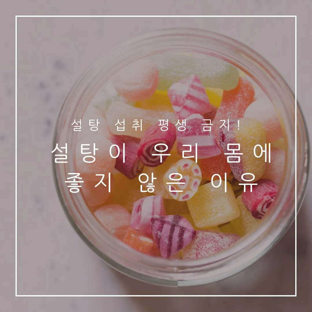 설탕이 우리 몸에 좋지 않은 이유