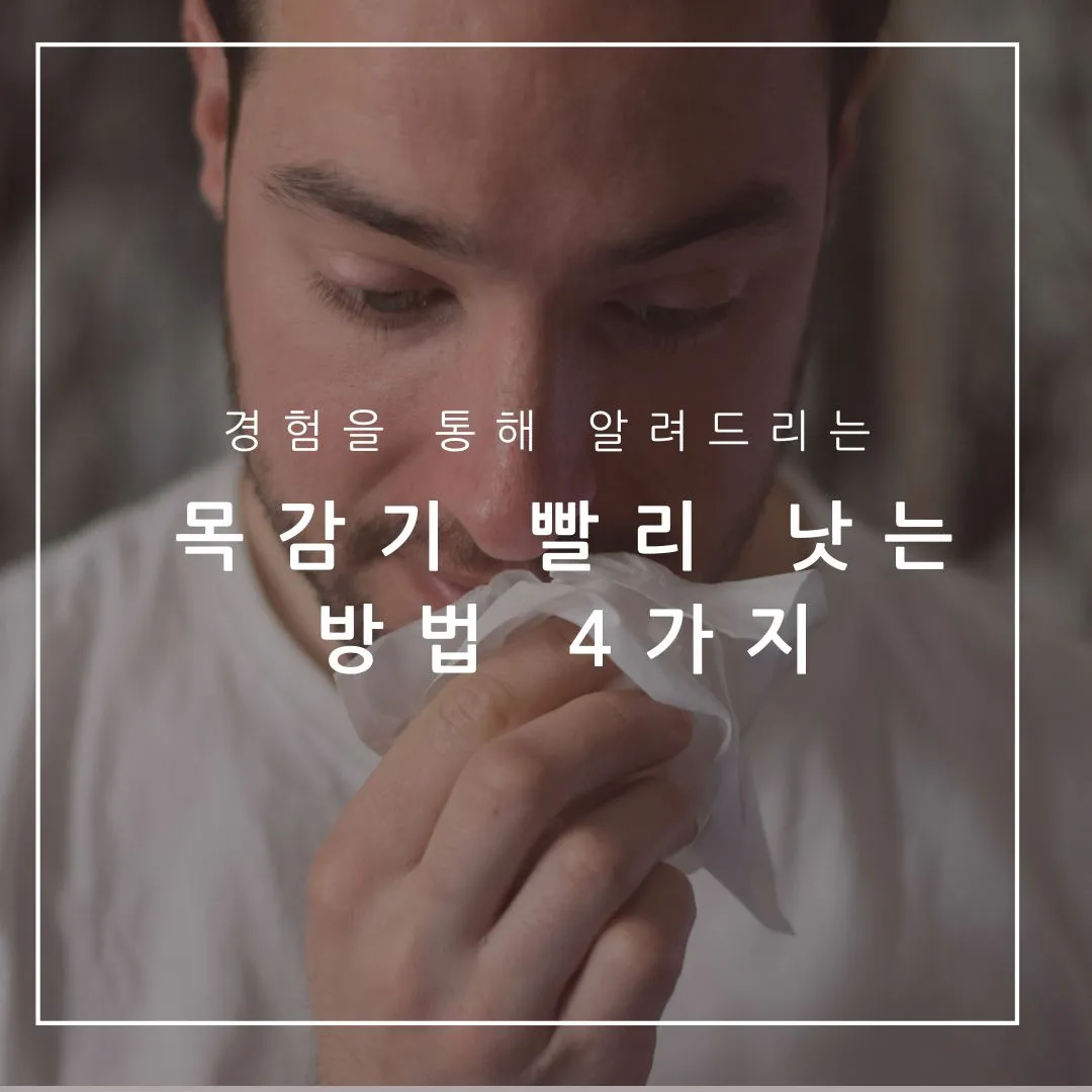 목만 아플 때, 직접 경험해보고 느낀 목감기 빨리 낫는 방법 4가지