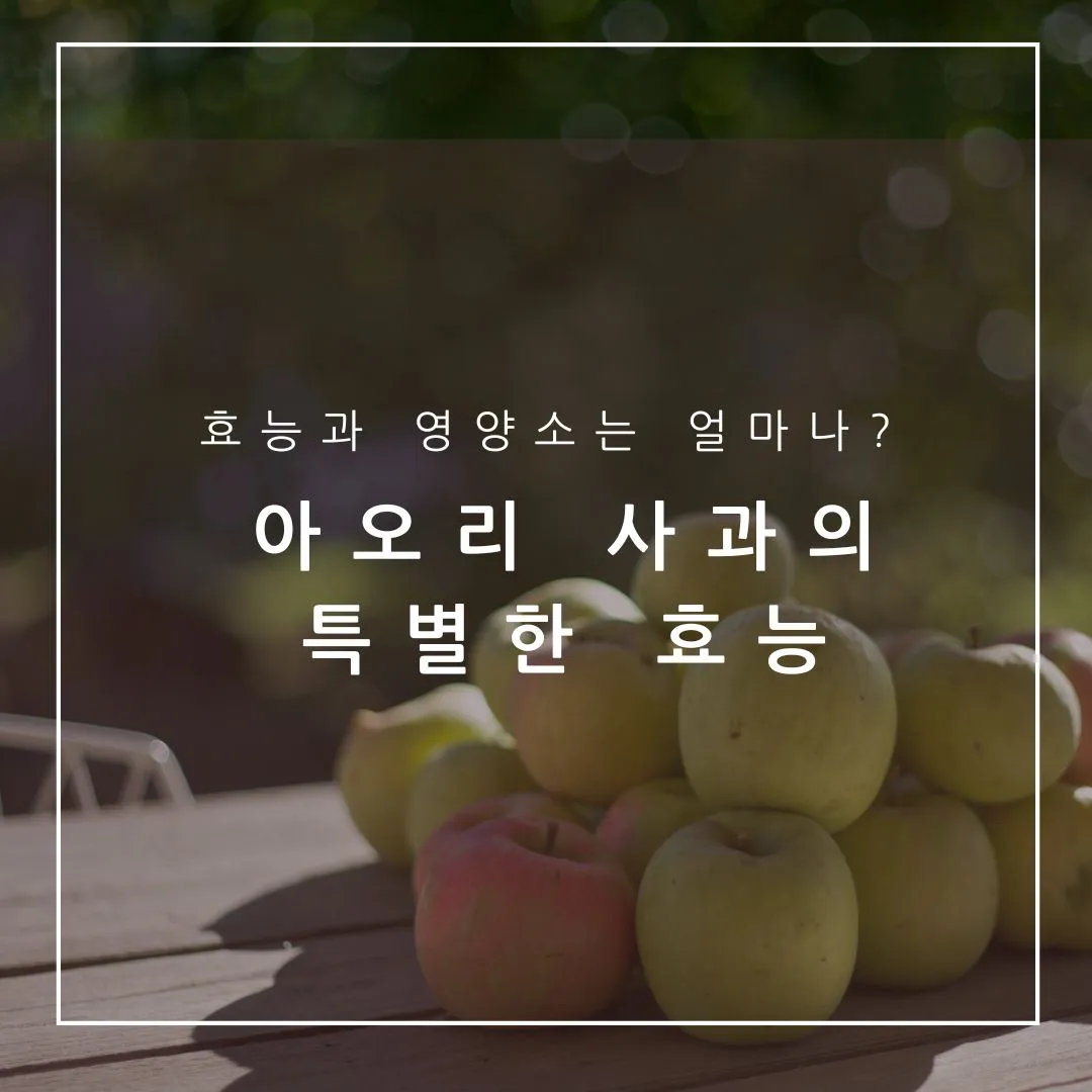 아오리 사과 제철