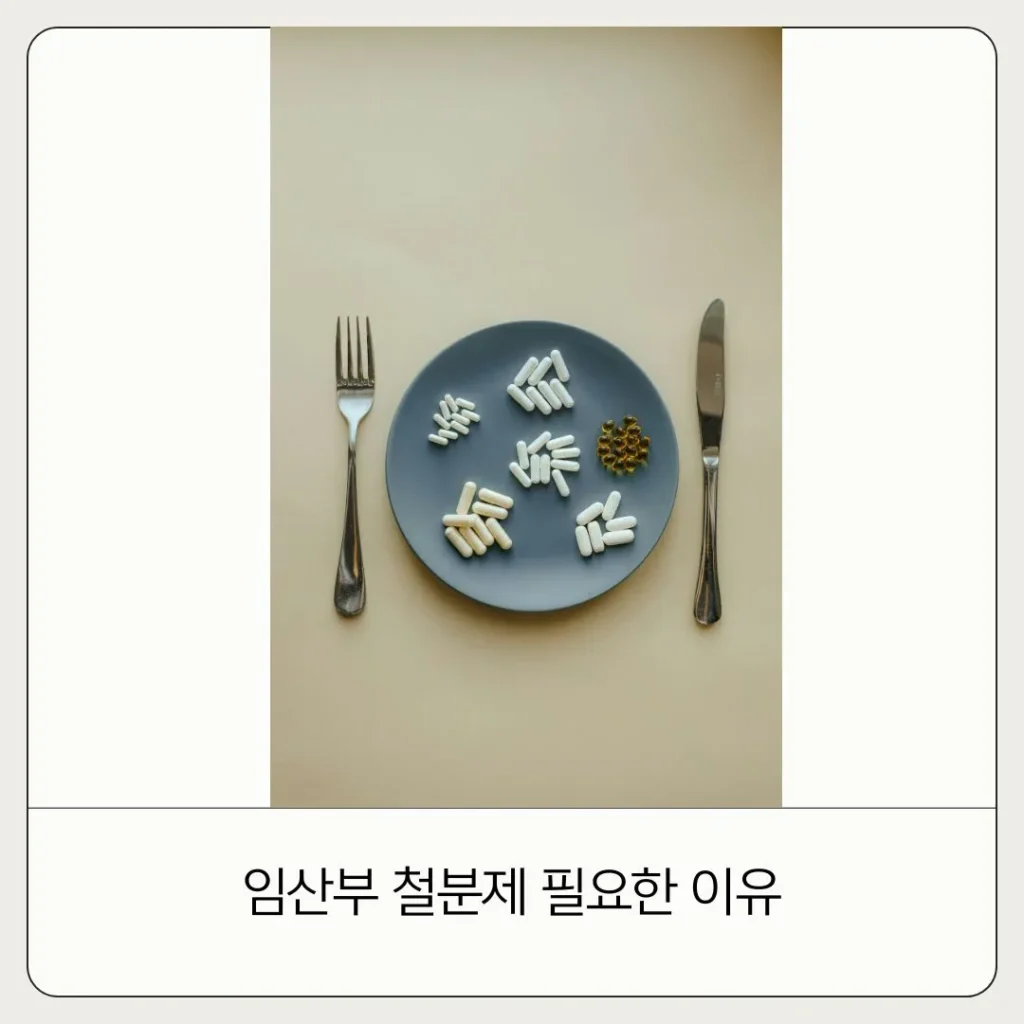 임산부 철분제