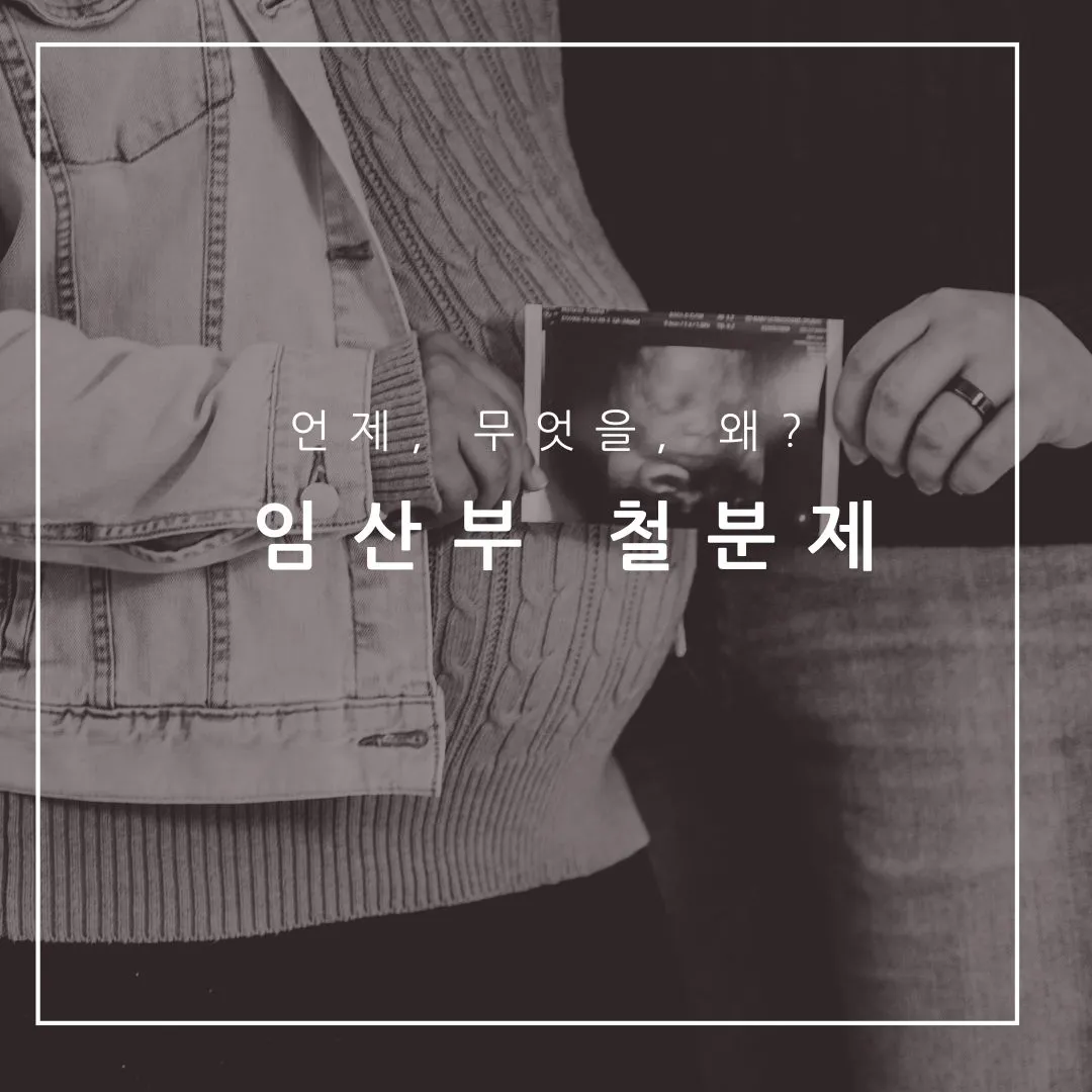 임산부 철분제