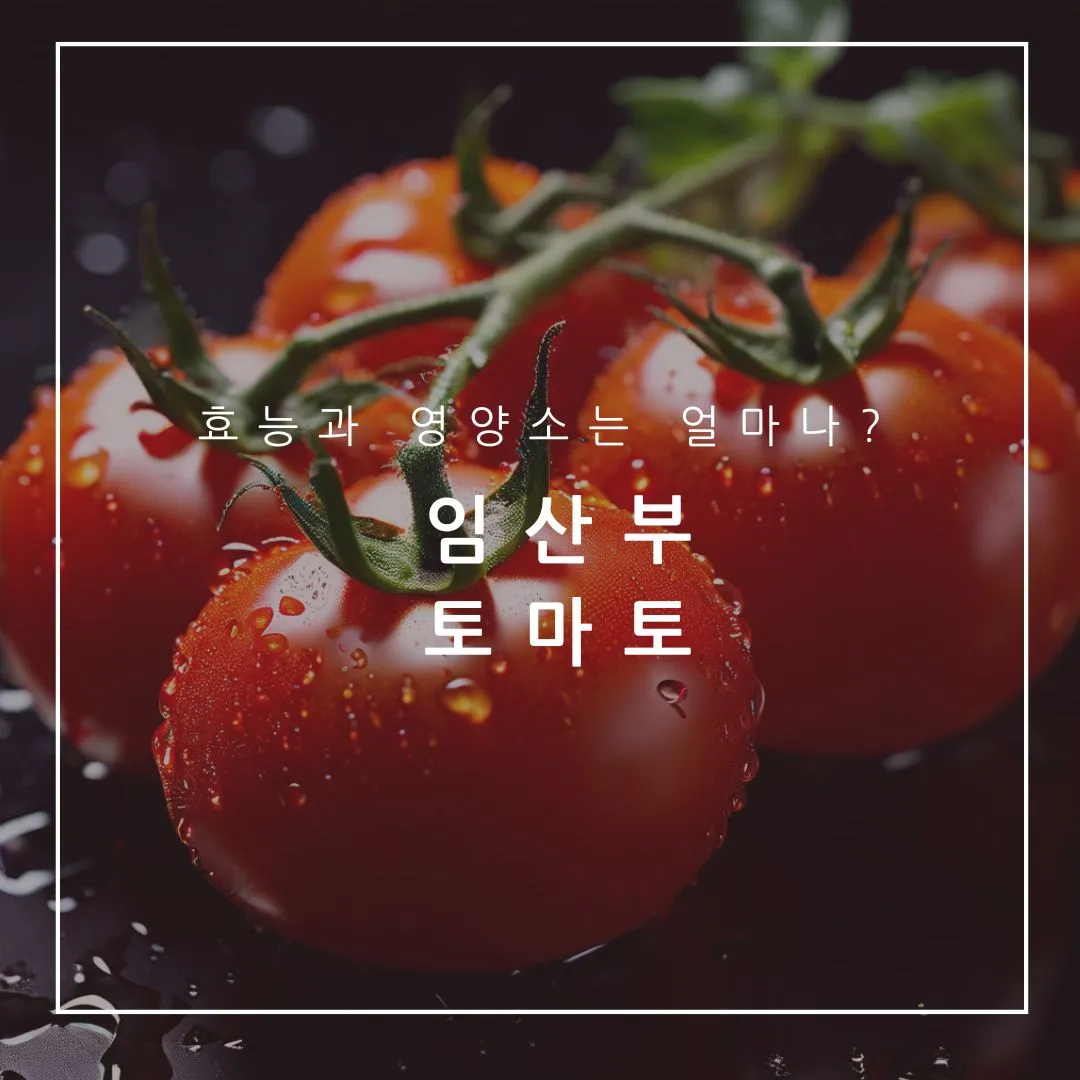 임신 토마토