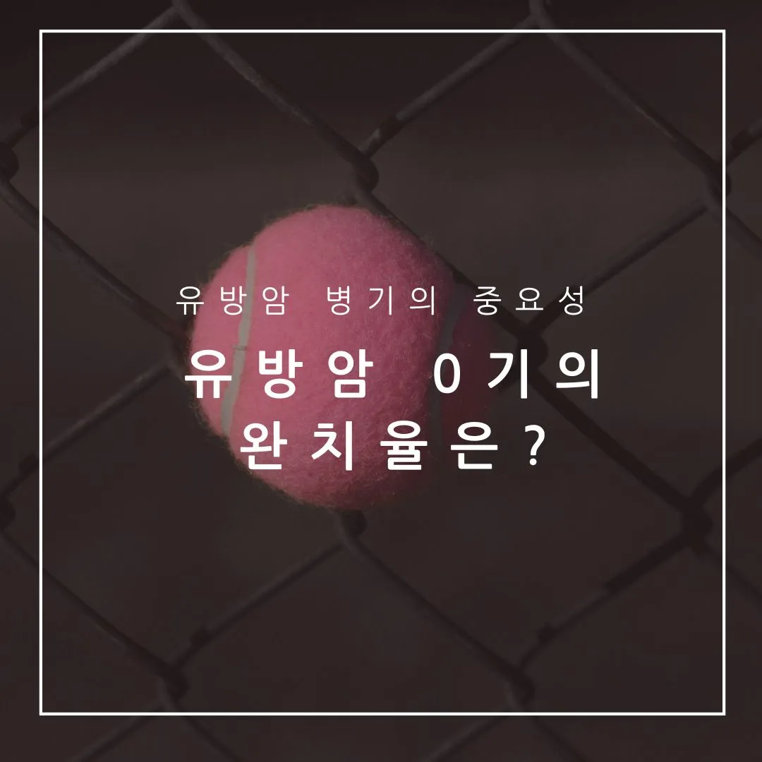 유방암 0기