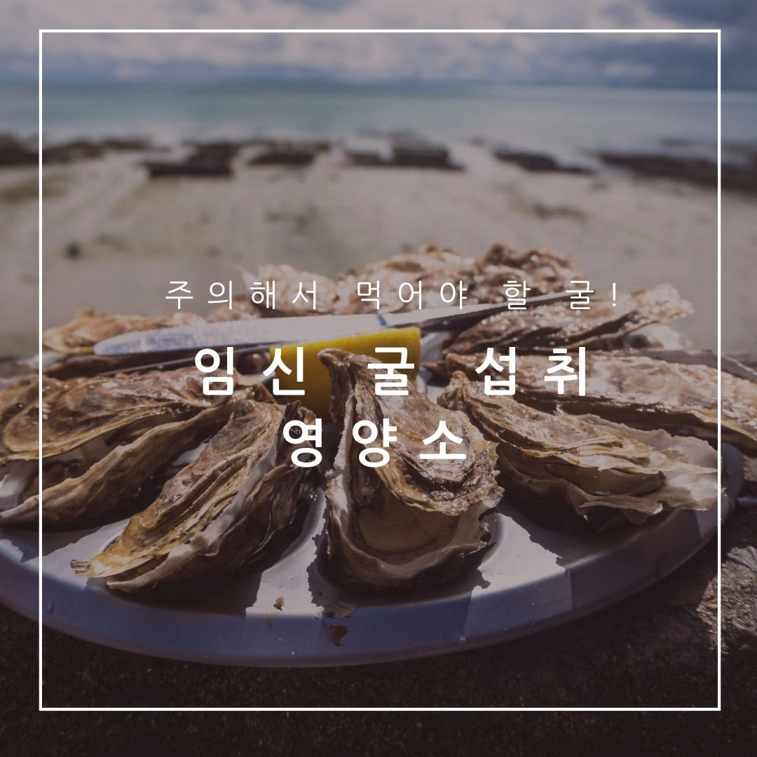 임신 굴