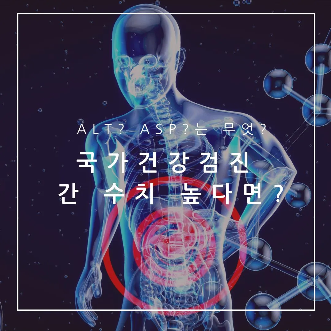 간수치 높으면