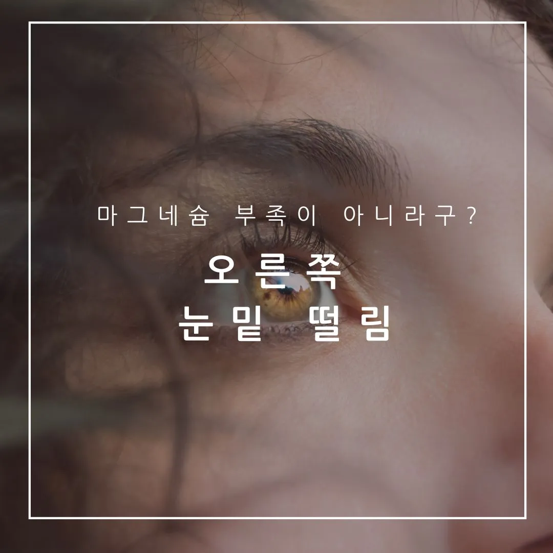 오른쪽 눈밑 떨림