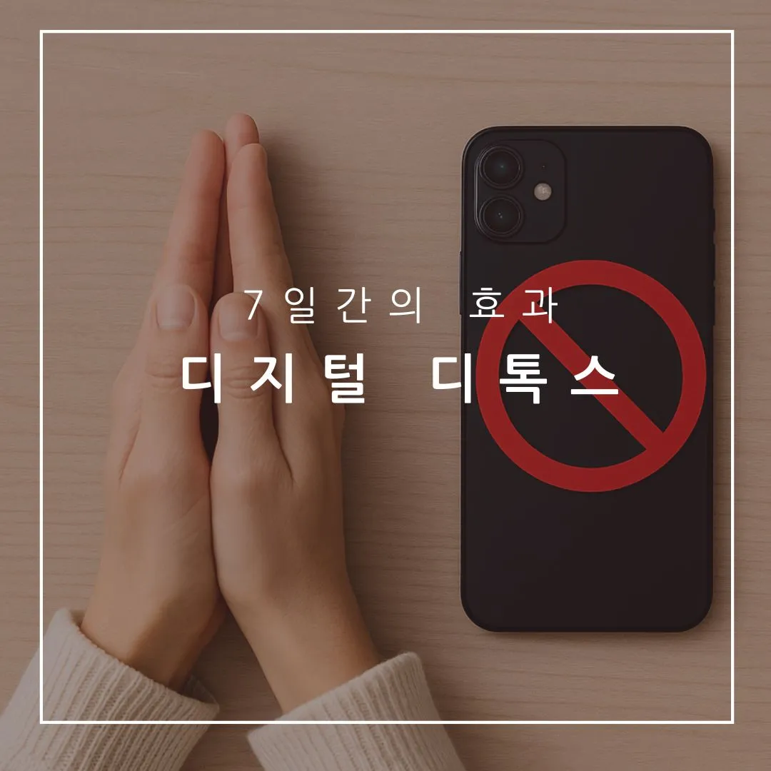 디지털디톡스
